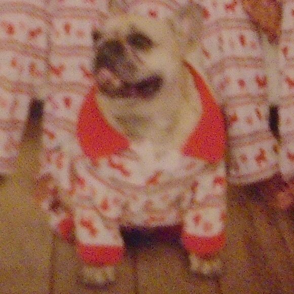 NEW HEART TO TAIL PET DOG FLEECE SNOWFLAKE REINDEER PAJAMAS ONE PIECE SIZE LARGE - Picture 1 of 9